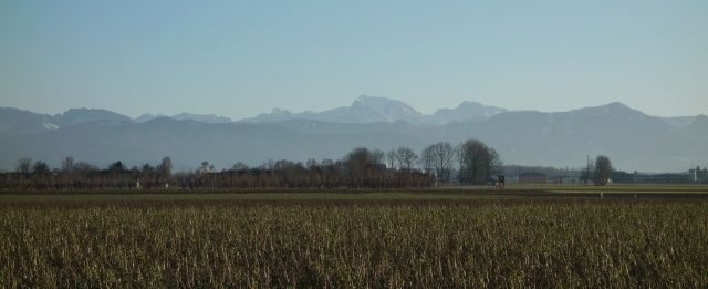 15kl.jpg © LK Oberösterreich 15kl.jpg © LK Oberösterreich