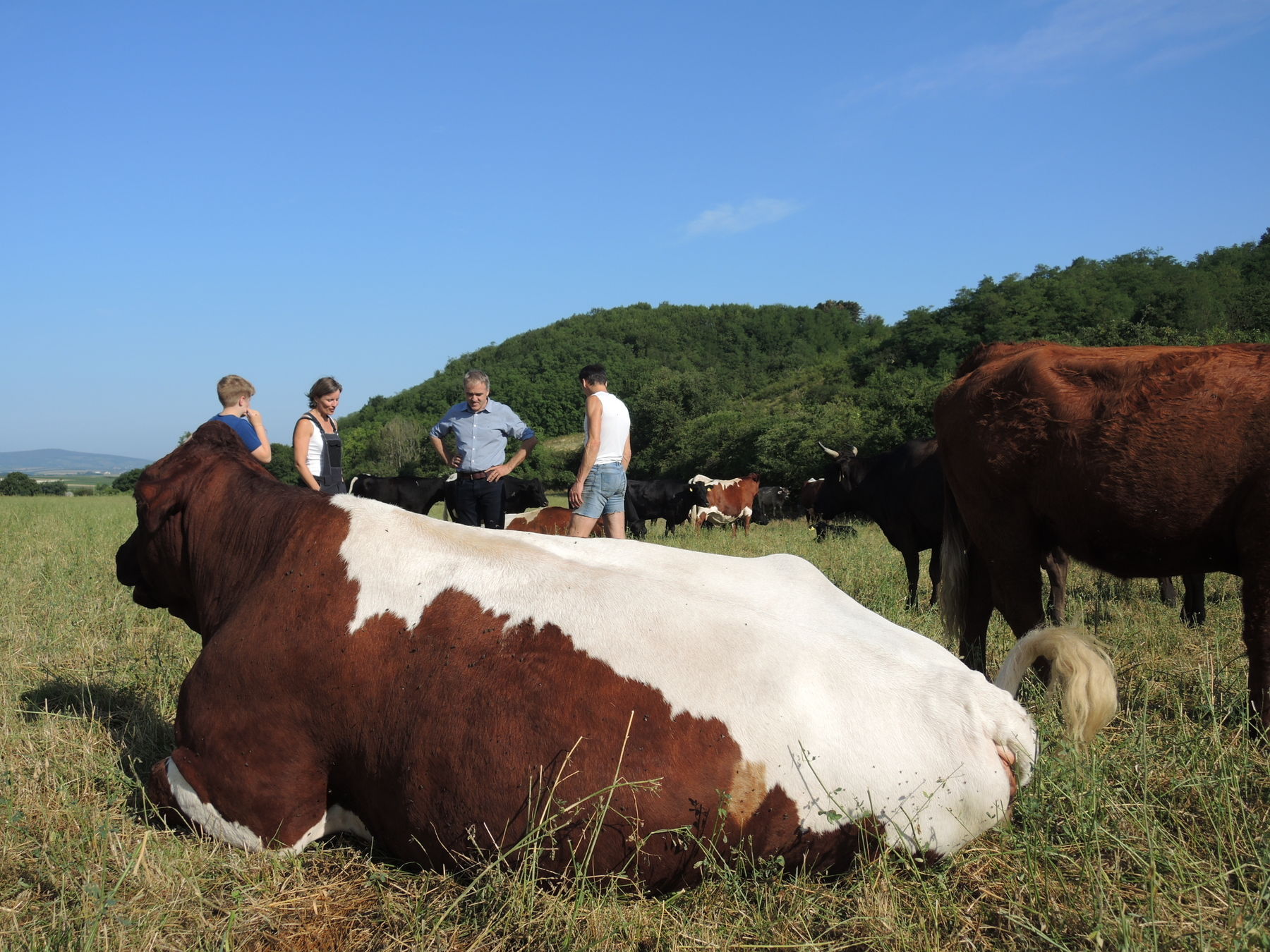 2021 Betrieb Bernold Stronsdorf © Andrea Uhl LK NÖ (8).jpg © Andrea Uhl LK NÖ 2021 Betrieb Bernold Stronsdorf © Andrea Uhl LK NÖ (8).jpg © Andrea Uhl LK NÖ