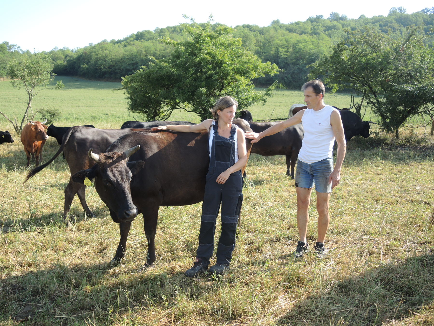 2021 Betrieb Bernold Stronsdorf © Andrea Uhl LK NÖ (12).jpg © Andrea Uhl LK NÖ 2021 Betrieb Bernold Stronsdorf © Andrea Uhl LK NÖ (12).jpg © Andrea Uhl LK NÖ