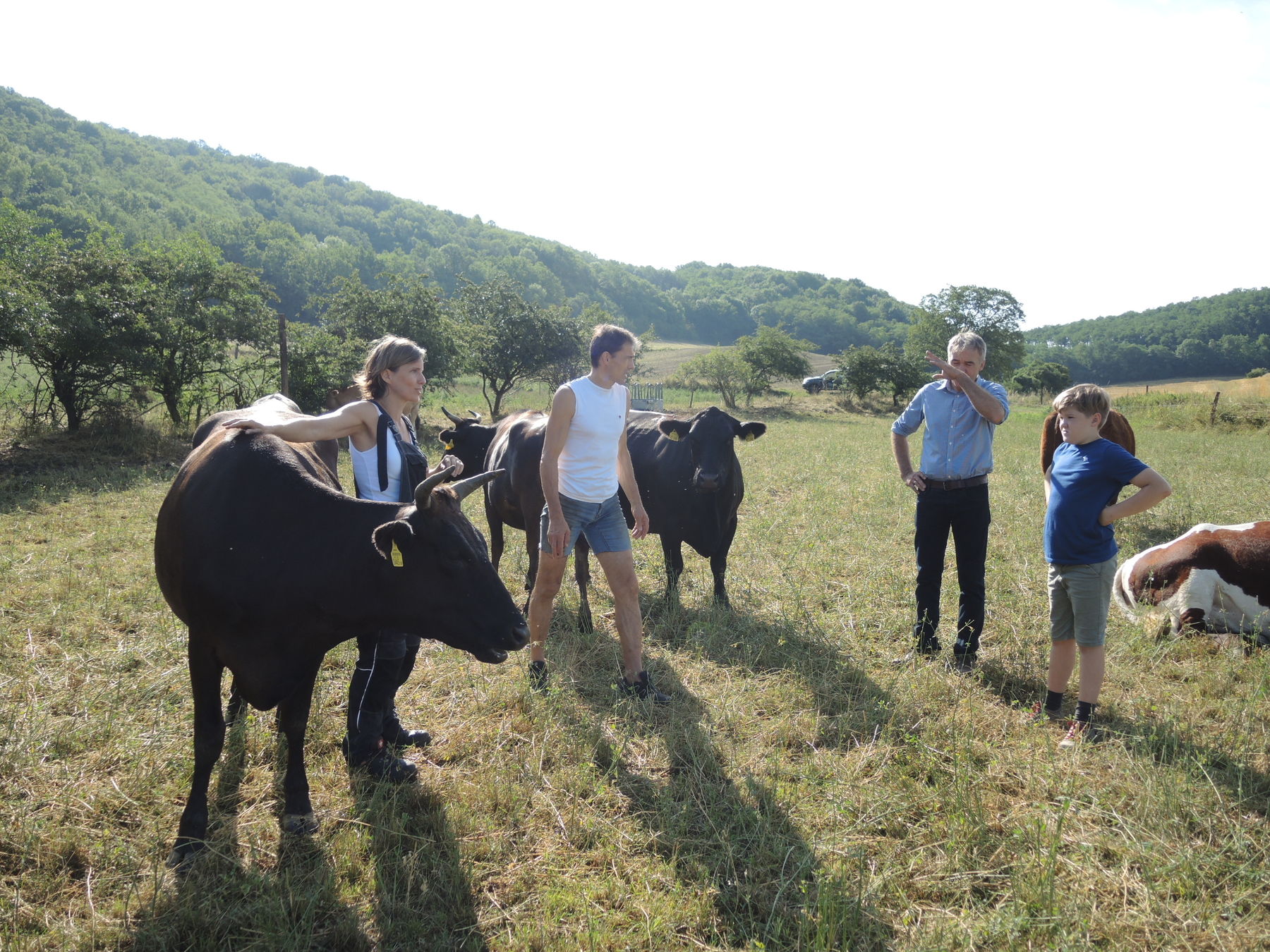 2021 Betrieb Bernold Stronsdorf © Andrea Uhl LK NÖ (14).jpg © Andrea Uhl LK NÖ 2021 Betrieb Bernold Stronsdorf © Andrea Uhl LK NÖ (14).jpg © Andrea Uhl LK NÖ