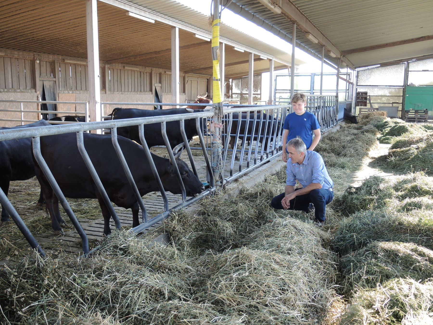 2021 Betrieb Bernold Stronsdorf © Andrea Uhl LK NÖ (19).jpg © Andrea Uhl LK NÖ 2021 Betrieb Bernold Stronsdorf © Andrea Uhl LK NÖ (19).jpg © Andrea Uhl LK NÖ