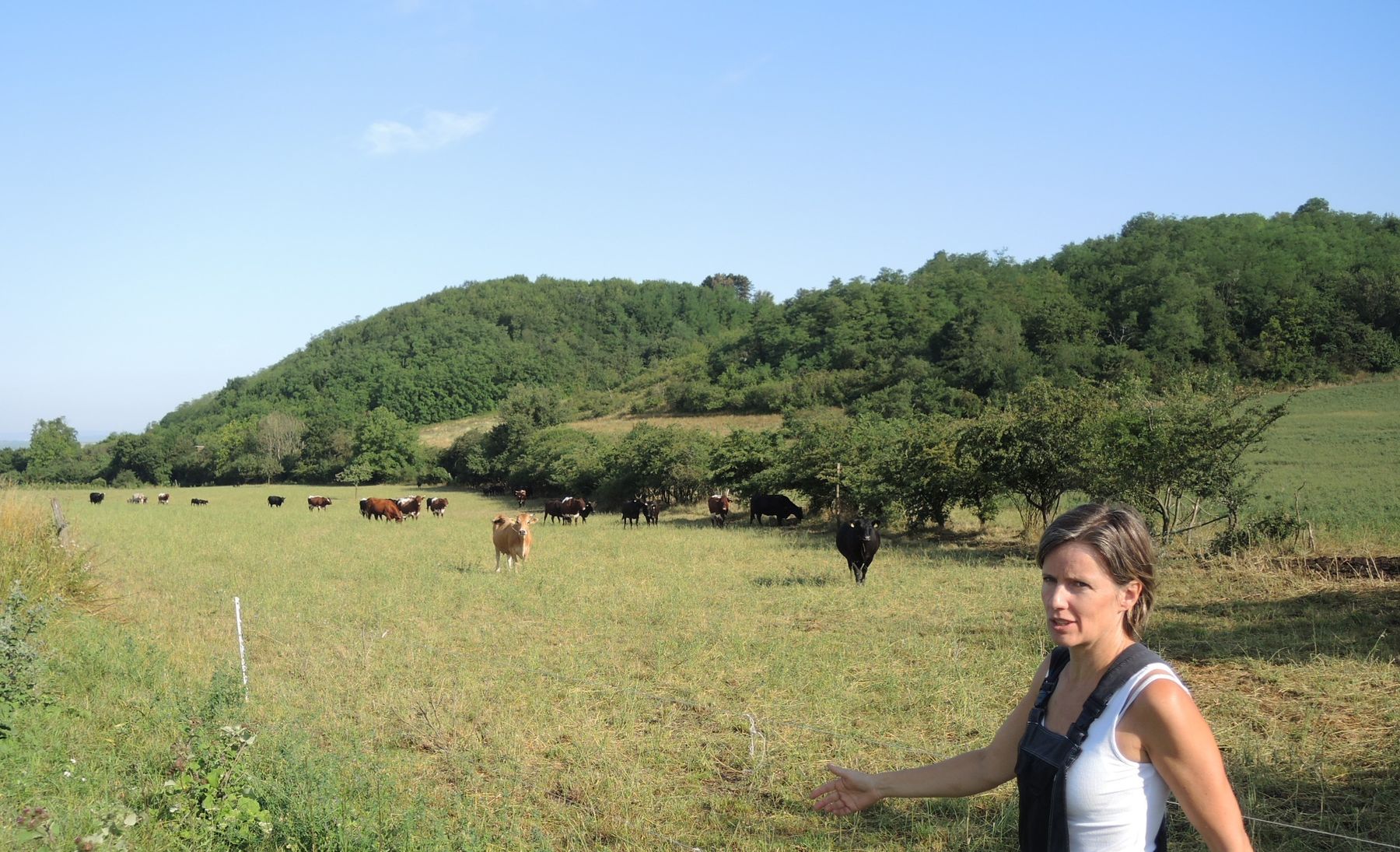 2021 Betrieb Bernold Stronsdorf © Andrea Uhl LK NÖ (30).jpg © Andrea Uhl LK NÖ 2021 Betrieb Bernold Stronsdorf © Andrea Uhl LK NÖ (30).jpg © Andrea Uhl LK NÖ