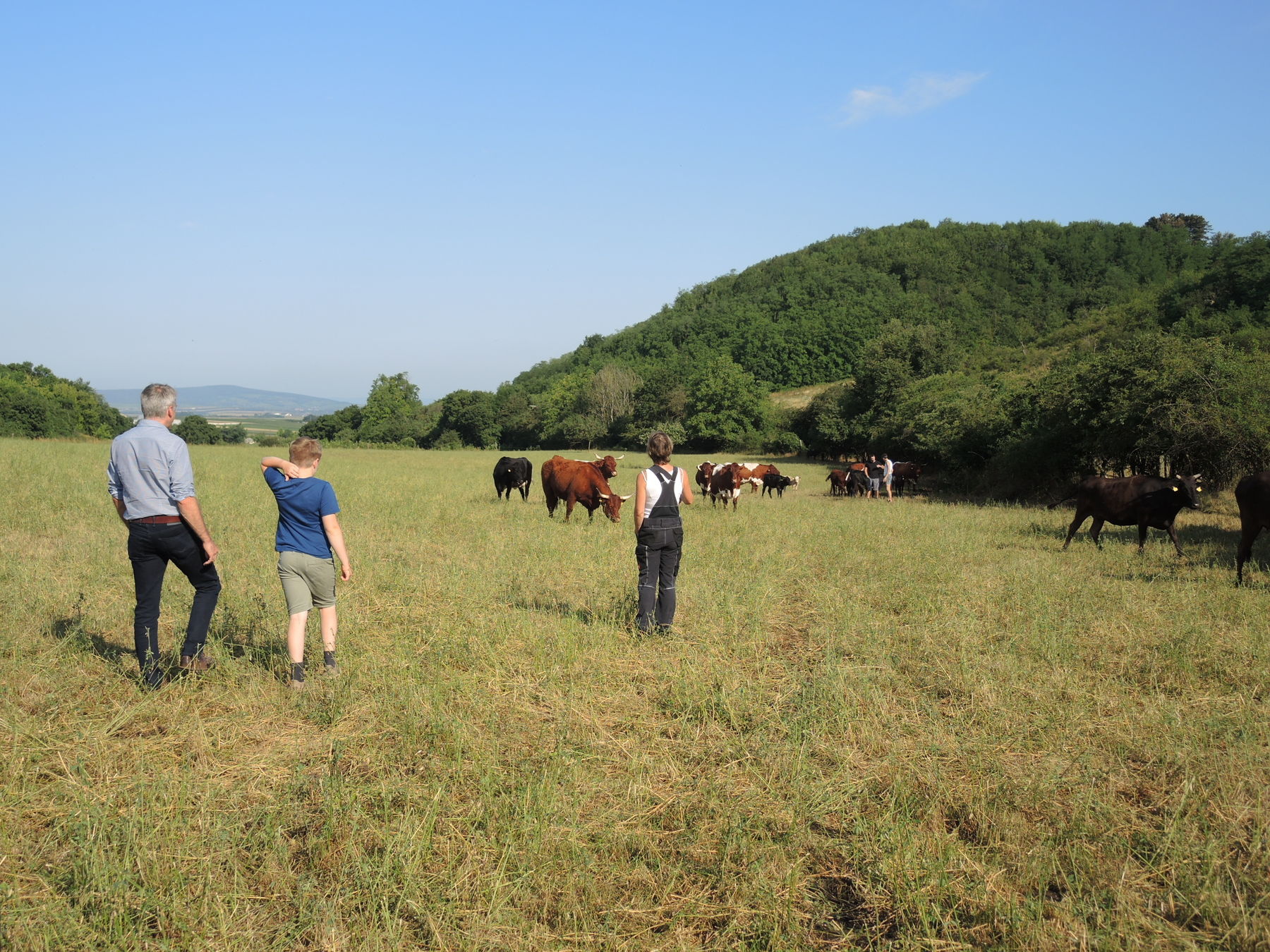 2021 Betrieb Bernold Stronsdorf © Andrea Uhl LK NÖ (35).jpg © Andrea Uhl LK NÖ 2021 Betrieb Bernold Stronsdorf © Andrea Uhl LK NÖ (35).jpg © Andrea Uhl LK NÖ