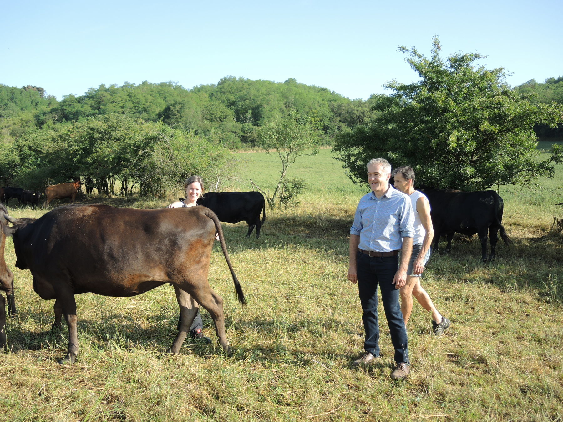 2021 Betrieb Bernold Stronsdorf © Andrea Uhl LK NÖ (37).jpg © Andrea Uhl LK NÖ 2021 Betrieb Bernold Stronsdorf © Andrea Uhl LK NÖ (37).jpg © Andrea Uhl LK NÖ