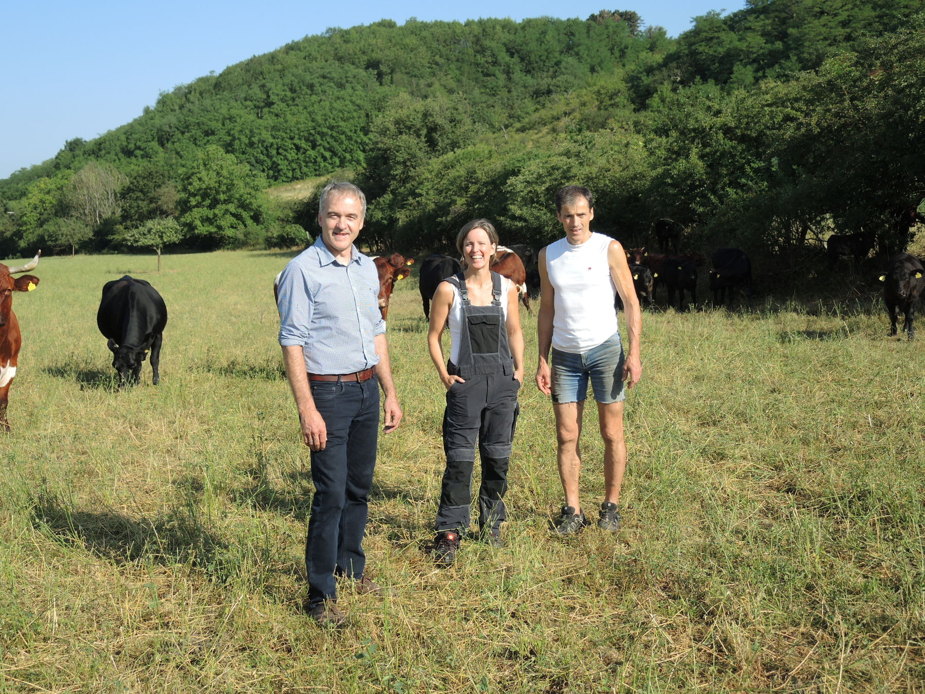 2021 Betrieb Bernold Stronsdorf © Andrea Uhl LK NÖ (39).jpg © Andrea Uhl LK NÖ 2021 Betrieb Bernold Stronsdorf © Andrea Uhl LK NÖ (39).jpg © Andrea Uhl LK NÖ