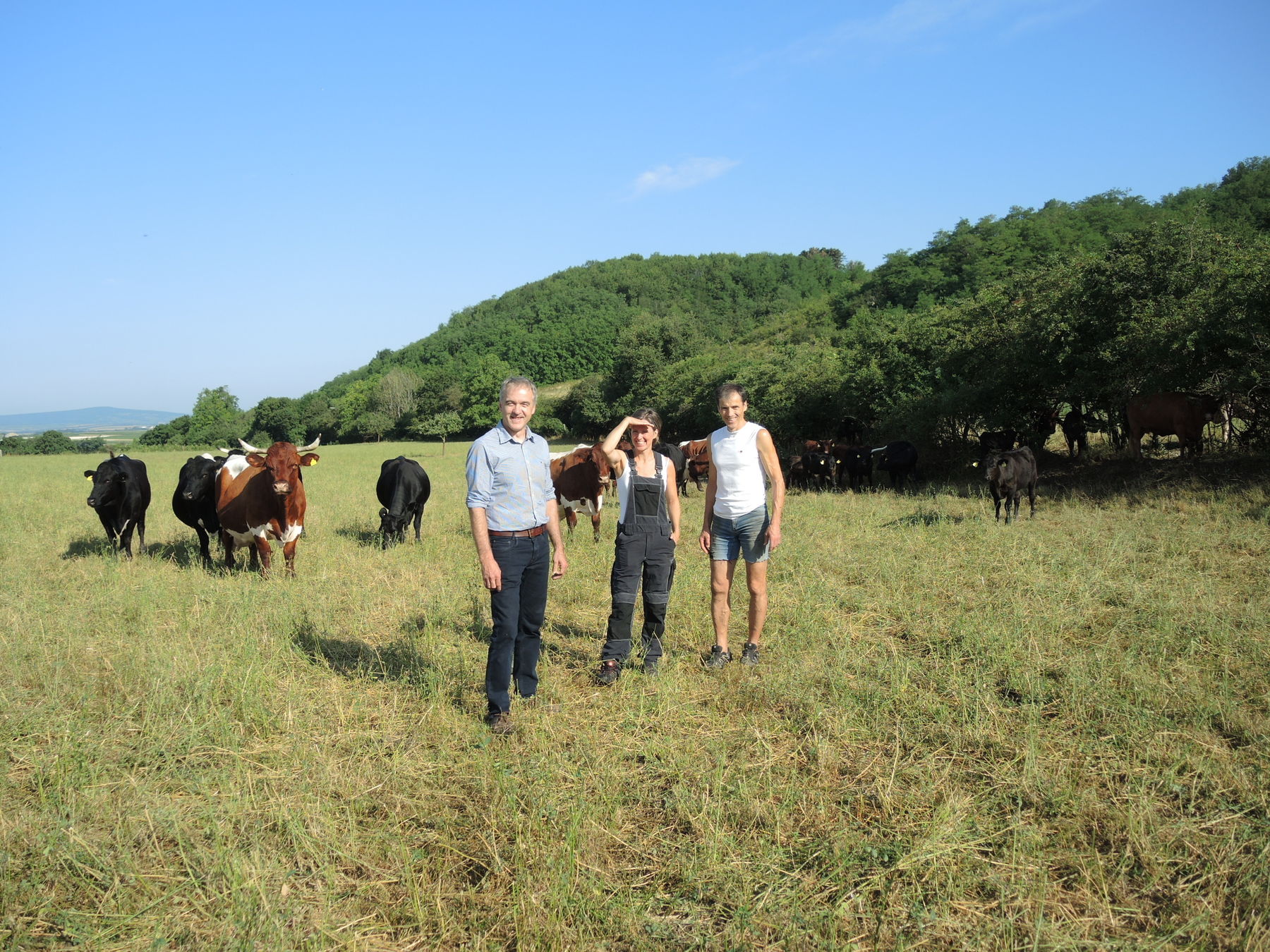 2021 Betrieb Bernold Stronsdorf © Andrea Uhl LK NÖ (40).jpg © Andrea Uhl LK NÖ 2021 Betrieb Bernold Stronsdorf © Andrea Uhl LK NÖ (40).jpg © Andrea Uhl LK NÖ