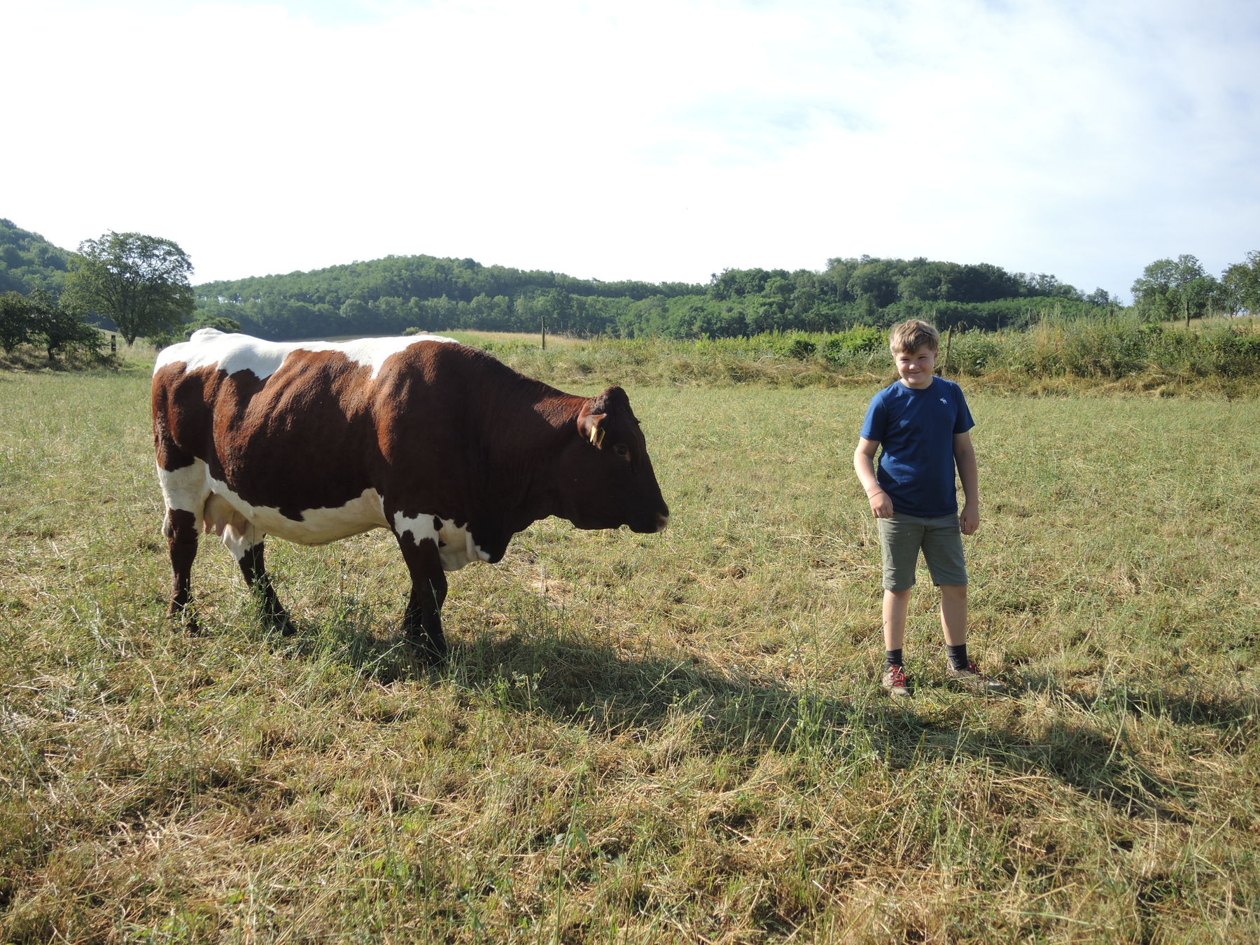 2021 Betrieb Bernold Stronsdorf © Andrea Uhl LK NÖ (41).jpg © Andrea Uhl LK NÖ 2021 Betrieb Bernold Stronsdorf © Andrea Uhl LK NÖ (41).jpg © Andrea Uhl LK NÖ