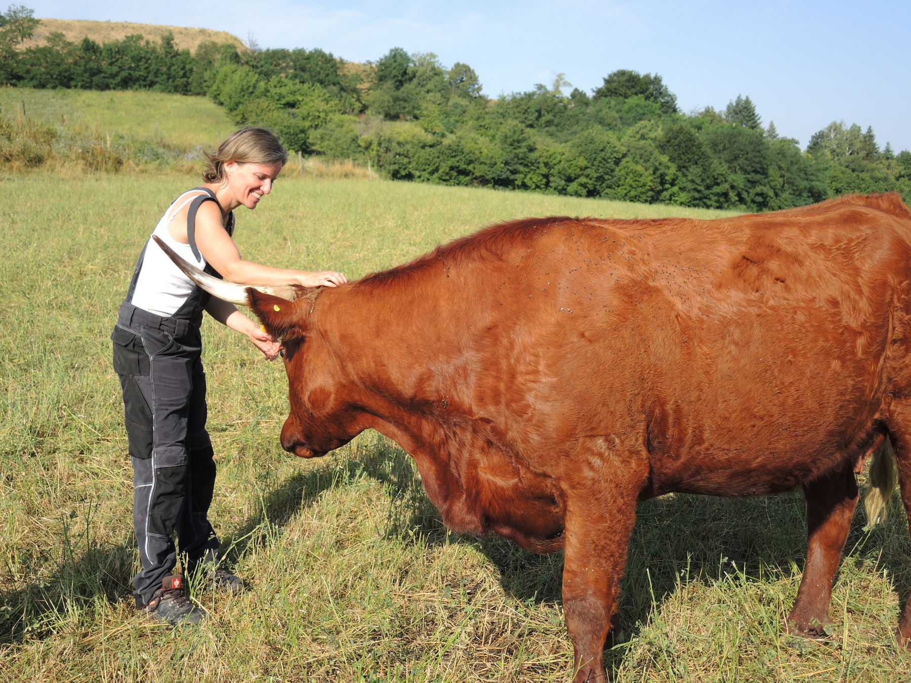 2021 Betrieb Bernold Stronsdorf © Andrea Uhl LK NÖ (43).jpg © Andrea Uhl LK NÖ 2021 Betrieb Bernold Stronsdorf © Andrea Uhl LK NÖ (43).jpg © Andrea Uhl LK NÖ
