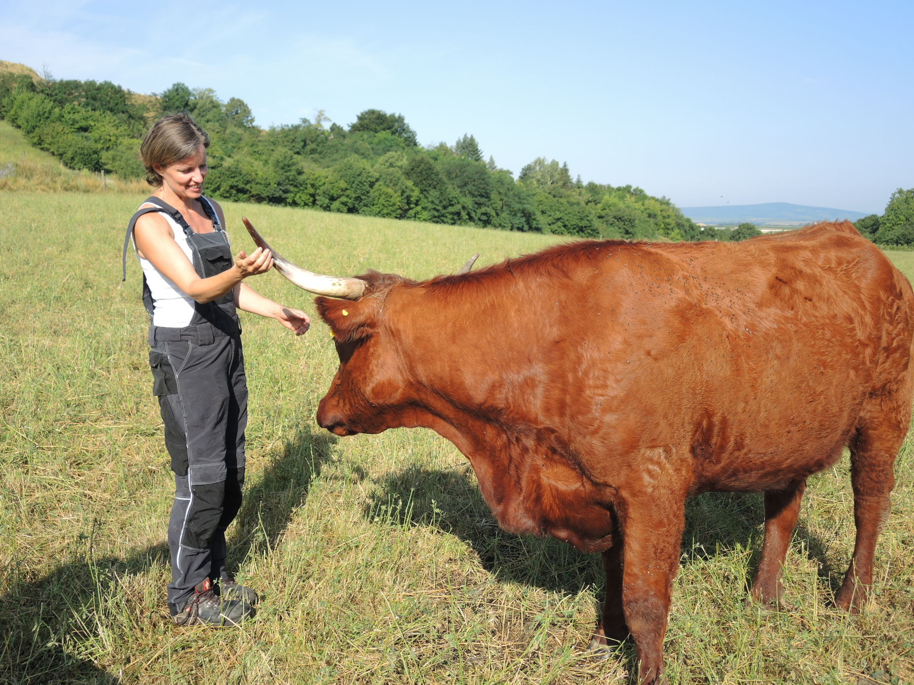 2021 Betrieb Bernold Stronsdorf © Andrea Uhl LK NÖ (44).jpg © Andrea Uhl LK NÖ 2021 Betrieb Bernold Stronsdorf © Andrea Uhl LK NÖ (44).jpg © Andrea Uhl LK NÖ