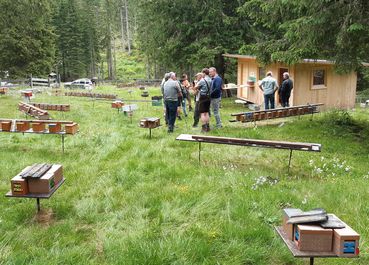 Belegstelle Bild1.jpg © LK Kärnten