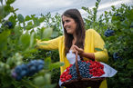 Beeren sind ein trendiges Premium-Produkt geworden, für das Kunde gerne gute Preise zahlen.jpg