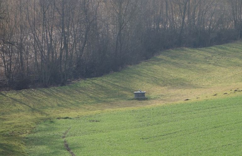 6-91.jpg © Landwirtschaftskammer Oberösterreich/Christoph Zaussinger