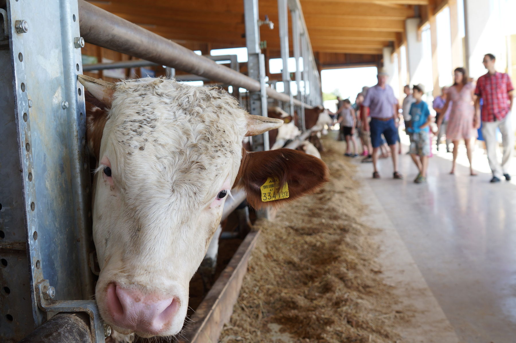 © Anna Schreiner/LK Österreich © Anna Schreiner/LK Österreich