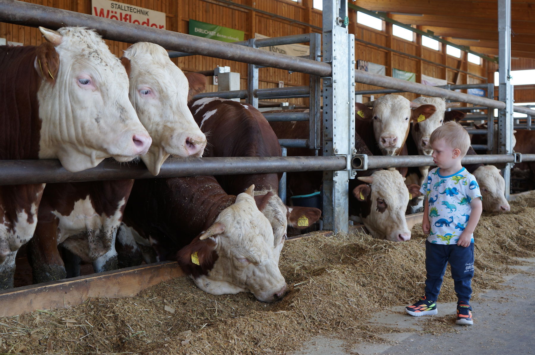 © Anna Schreiner/LK Österreich © Anna Schreiner/LK Österreich