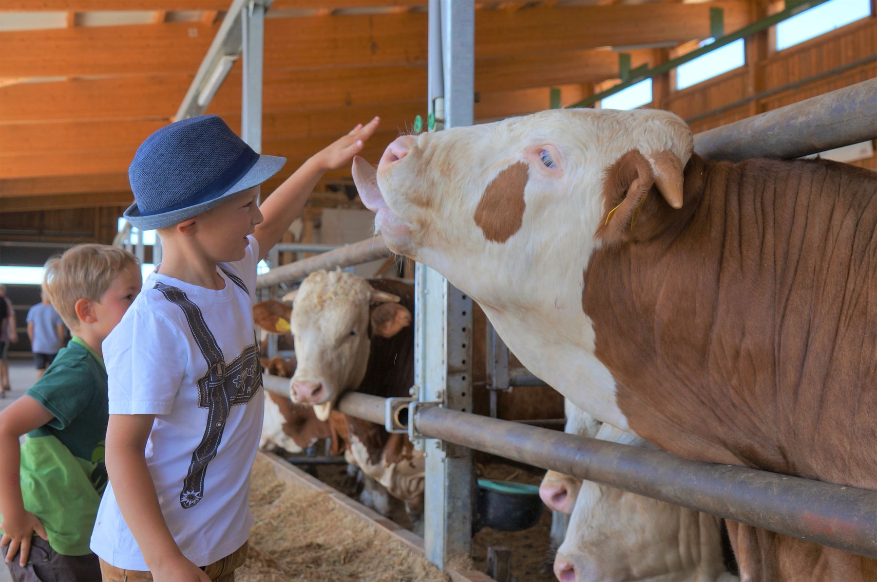 © Anna Schreiner/LK Österreich © Anna Schreiner/LK Österreich