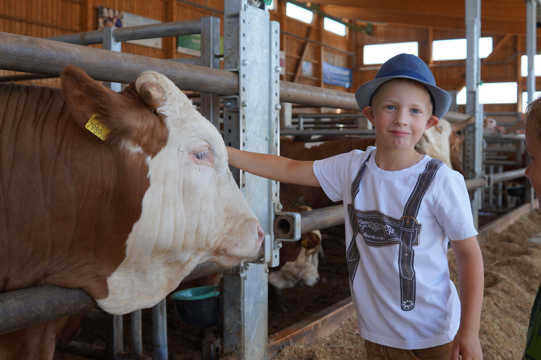 © Anna Schreiner/LK Österreich © Anna Schreiner/LK Österreich