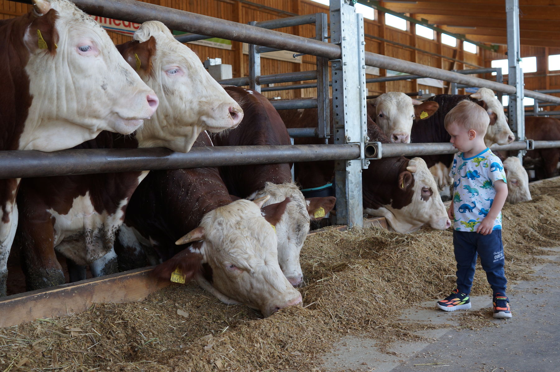 © Anna Schreiner/LK Österreich © Anna Schreiner/LK Österreich