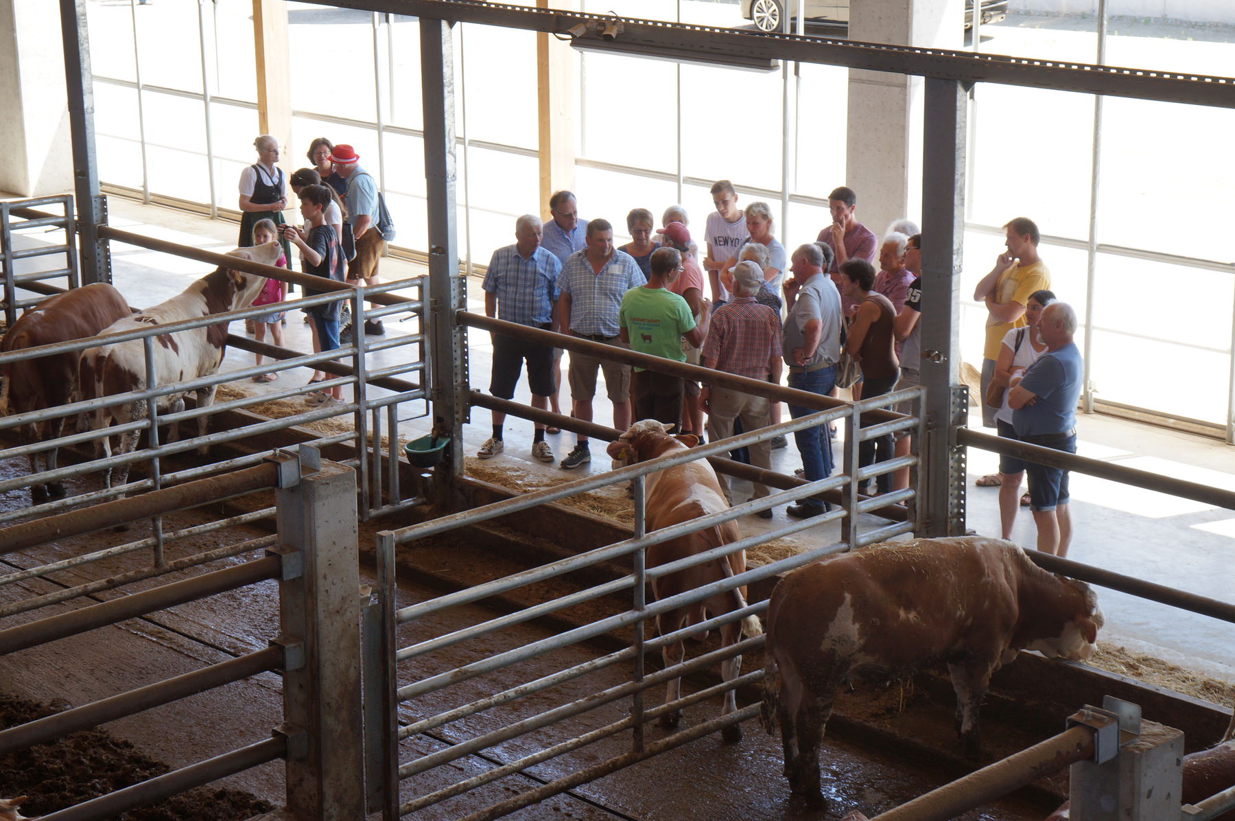 © Anna Schreiner/LK Österreich © Anna Schreiner/LK Österreich