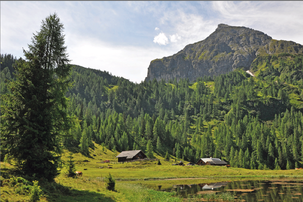 Steinkar_Berg.png © Mooslechner Steinkar_Berg.png © Mooslechner