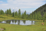 Steinkar_See.png © Mooslechner