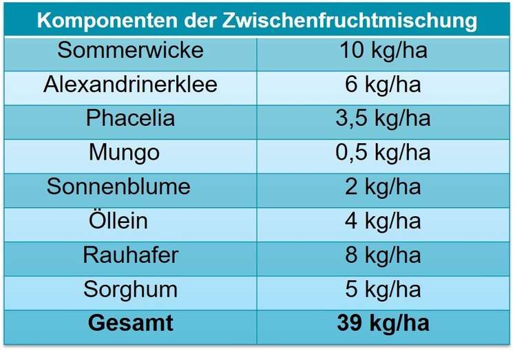 Tabelle Komponenten der Zwischenfruchtmischung.jpg