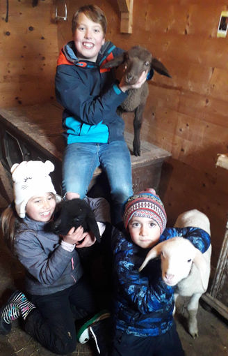 Mein Bild 2021.jpg © Salzburger Bauer/Kaindl Mein Bild 2021.jpg © Salzburger Bauer/Kaindl