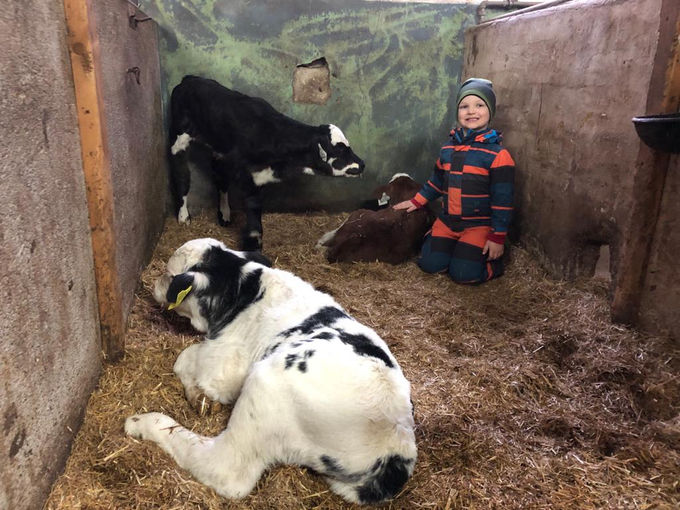 Mein Bild 2021.jpg © Salzburger Bauer/Rohrmoser Mein Bild 2021.jpg © Salzburger Bauer/Rohrmoser