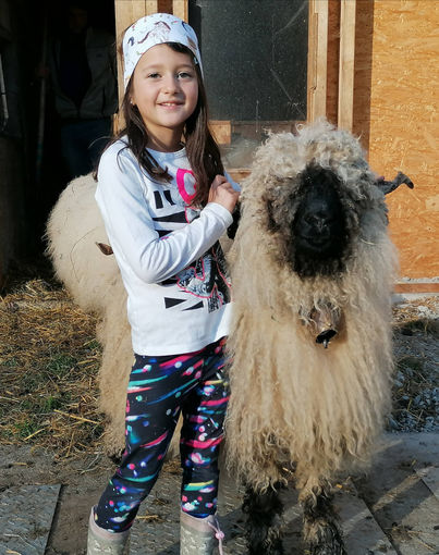 Mein Bild 2021.jpg © Salzburger Bauer/Obermoser Mein Bild 2021.jpg © Salzburger Bauer/Obermoser