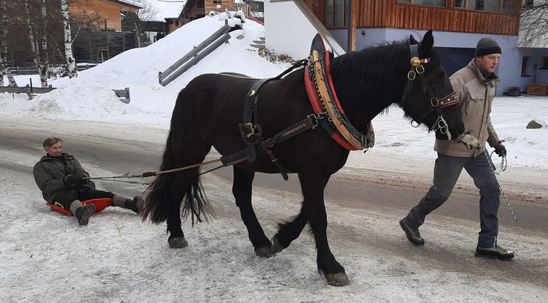 Mein Bild 2021.jpg © Salzburger Bauer/Sampl Mein Bild 2021.jpg © Salzburger Bauer/Sampl