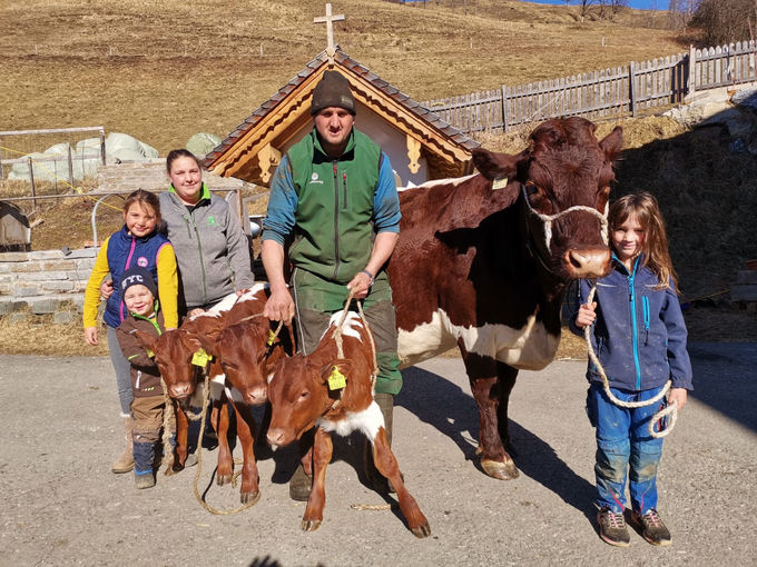 Mein Bild 2021.jpg © Salzburger Bauer/Bacher Mein Bild 2021.jpg © Salzburger Bauer/Bacher