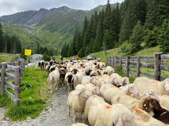 Foto-Seite-2-Inzinger-Alm-.png © Kirchmair Foto-Seite-2-Inzinger-Alm-.png © Kirchmair