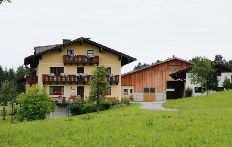 Taugler Comeback der Milchkühe – Schörghof in Sankt Koloman.png © Kronreif Taugler Comeback der Milchkühe – Schörghof in Sankt Koloman.png © Kronreif