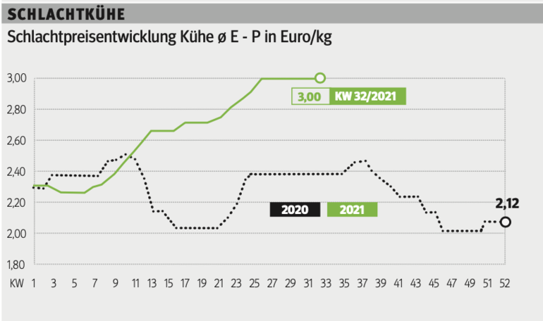 Bildschirmfoto 2021-08-11 um 12.05.51.png © Grafik RZV Bildschirmfoto 2021-08-11 um 12.05.51.png © Grafik RZV