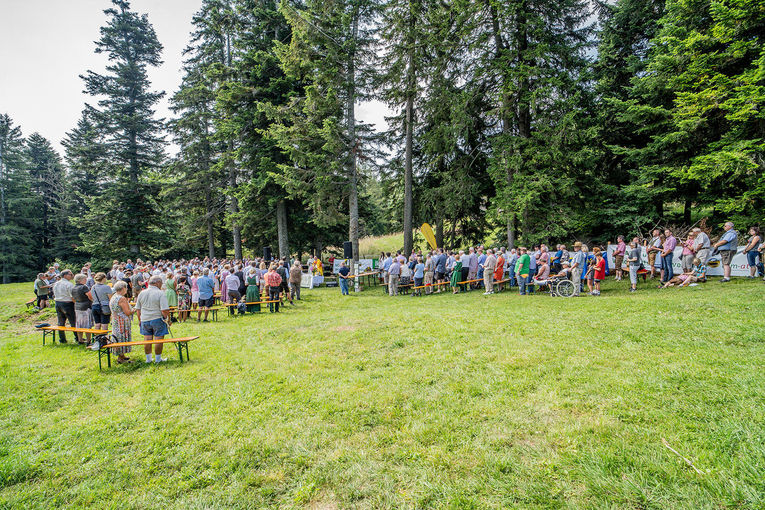 71. NÖ Almwandertag Feldmesse