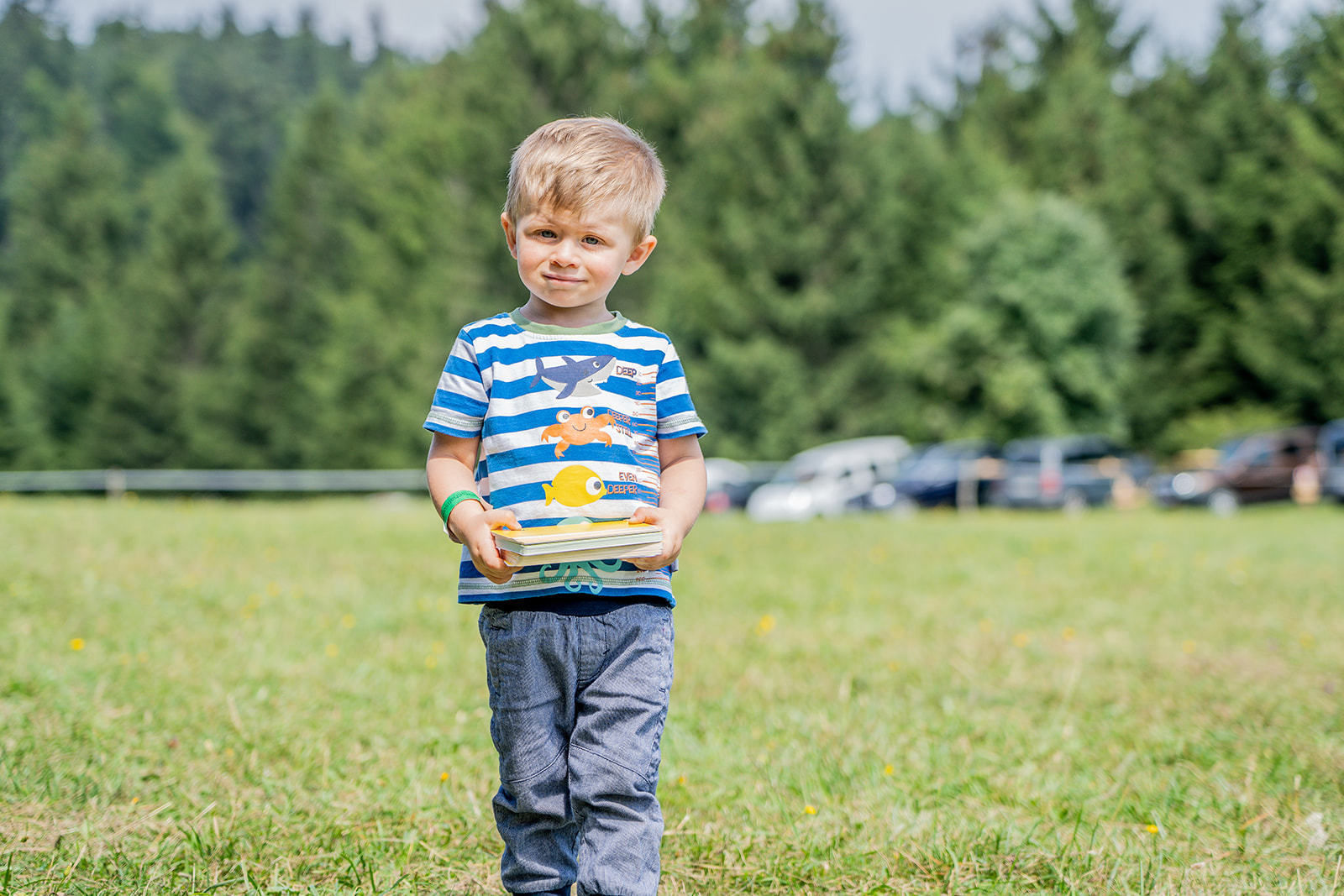 71. NÖ Almwandertag © Georg Pomassl/LK Niederösterreich 71. NÖ Almwandertag © Georg Pomassl/LK Niederösterreich