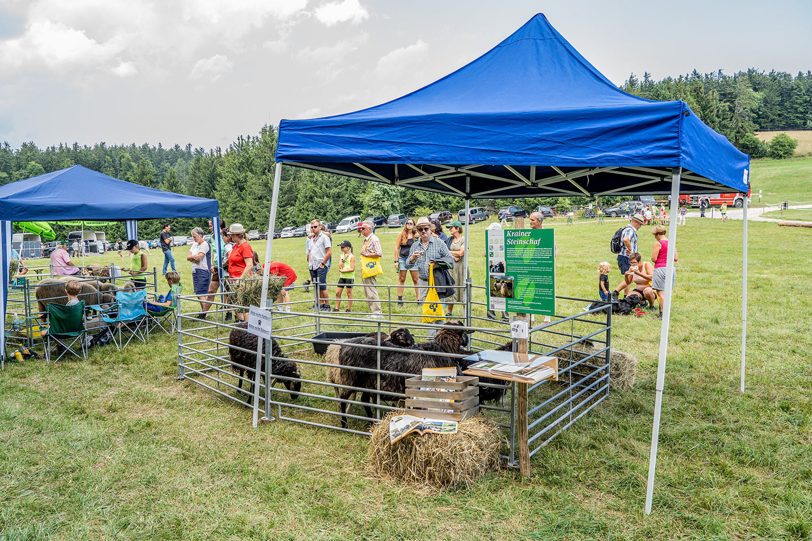 71. NÖ Almwandertag © Georg Pomassl/LK Niederösterreich