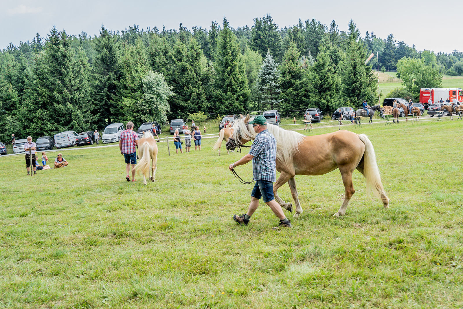 71. NÖ Almwandertag © Georg Pomassl/LK Niederösterreich 71. NÖ Almwandertag © Georg Pomassl/LK Niederösterreich