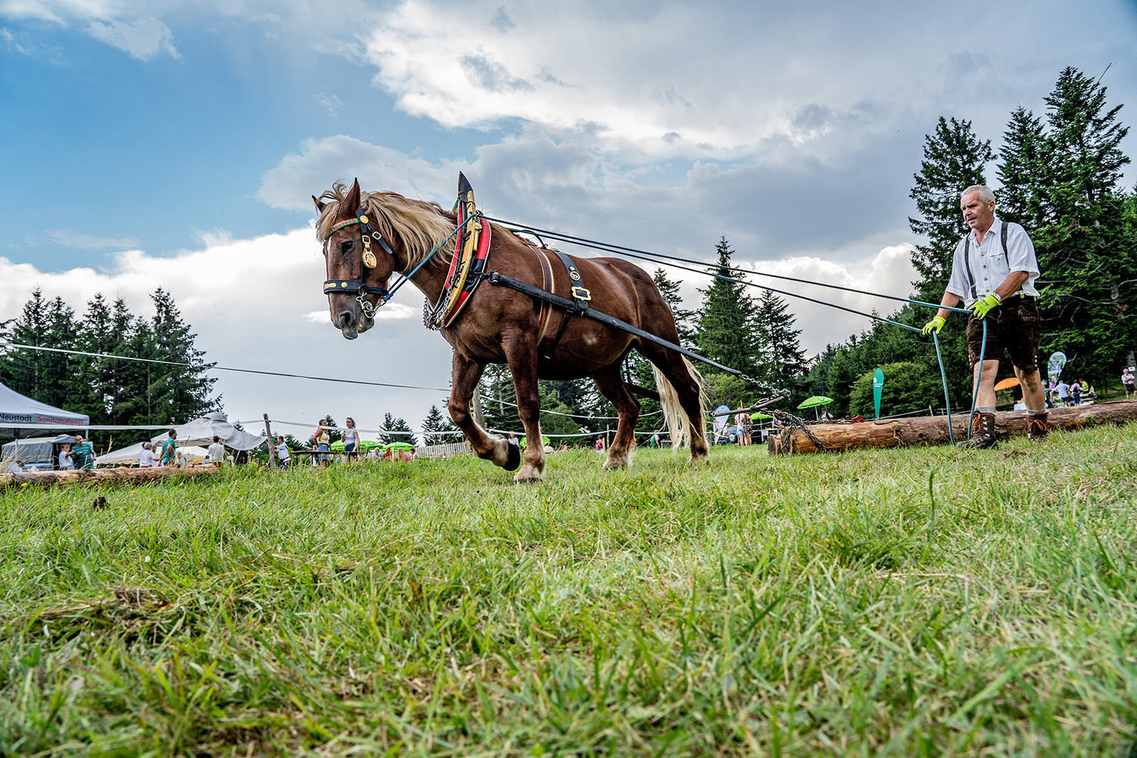 71. NÖ Almwandertag © Georg Pomassl/LK Niederösterreich 71. NÖ Almwandertag © Georg Pomassl/LK Niederösterreich