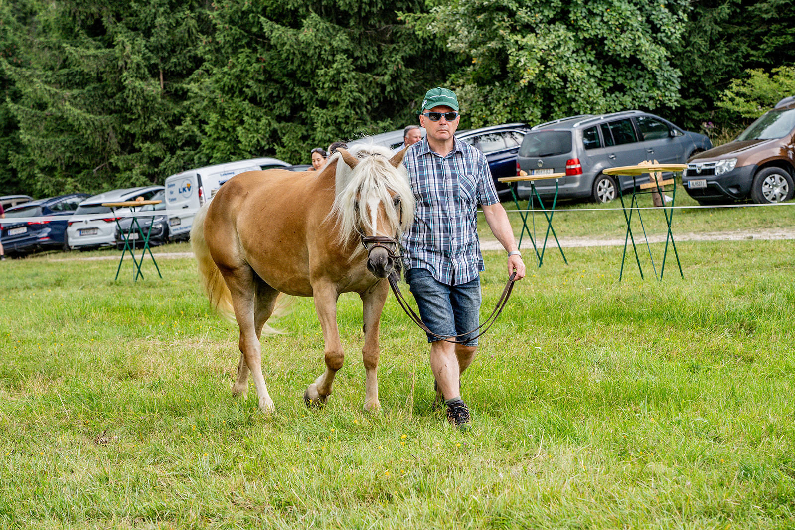 71. NÖ Almwandertag © Georg Pomassl/LK Niederösterreich 71. NÖ Almwandertag © Georg Pomassl/LK Niederösterreich
