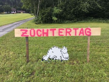 Krainer Steinschaf Züchtertag 2021