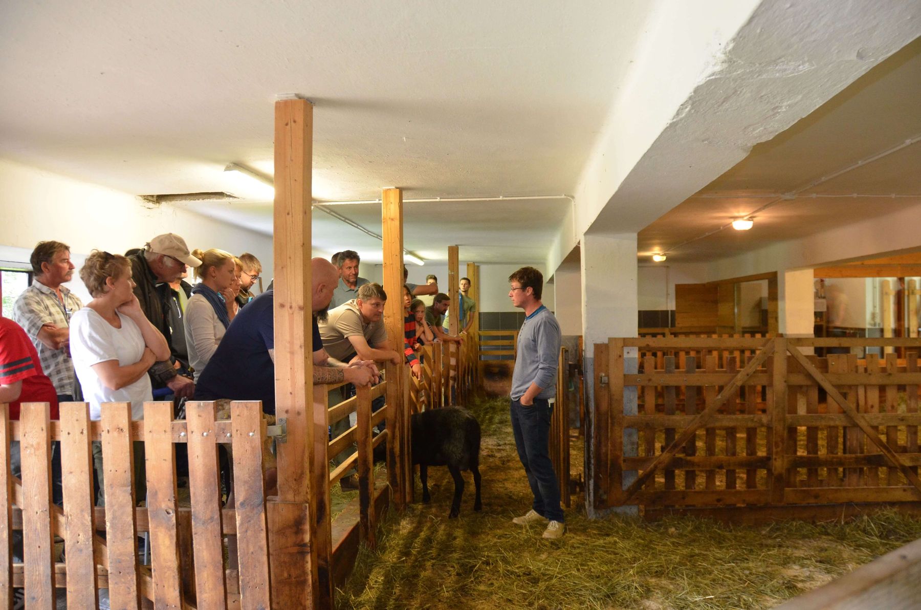 © Schaf- und Ziegenzuchtverband Kärnten © Schaf- und Ziegenzuchtverband Kärnten