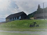 © Schaf- und Ziegenzuchtverband Kärnten © Schaf- und Ziegenzuchtverband Kärnten