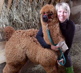 Renate Pointner mit Alpaka Hannes alpakapoint.png