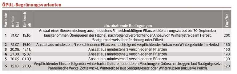 Tabelle ÖPUL-Begrünungsvarianten © LK-Stmk