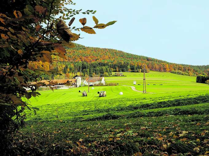 Grünland © LK-Stmk/Musch