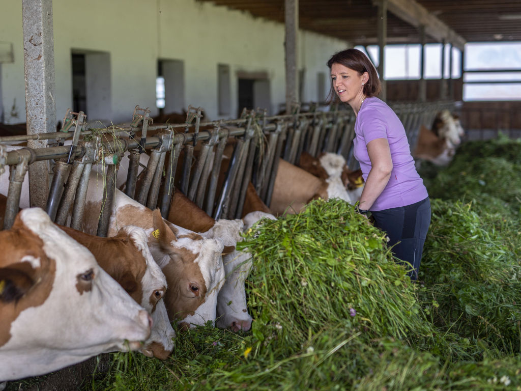 LK_Präsidentin_LK_OÖ_(59) klein.jpg © LK OÖ, Abdruck honorarfrei LK_Präsidentin_LK_OÖ_(59) klein.jpg © LK OÖ, Abdruck honorarfrei