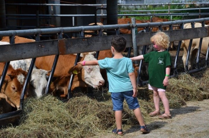 © Zangerlhof © Zangerlhof