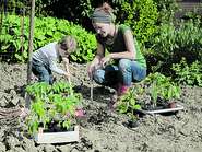 Familie im Garten © gradt - Fotolia