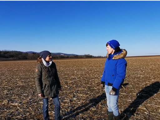 Winterweizenanbau mit Direktsaatverfahren nach Körnermais Startbild.jpg