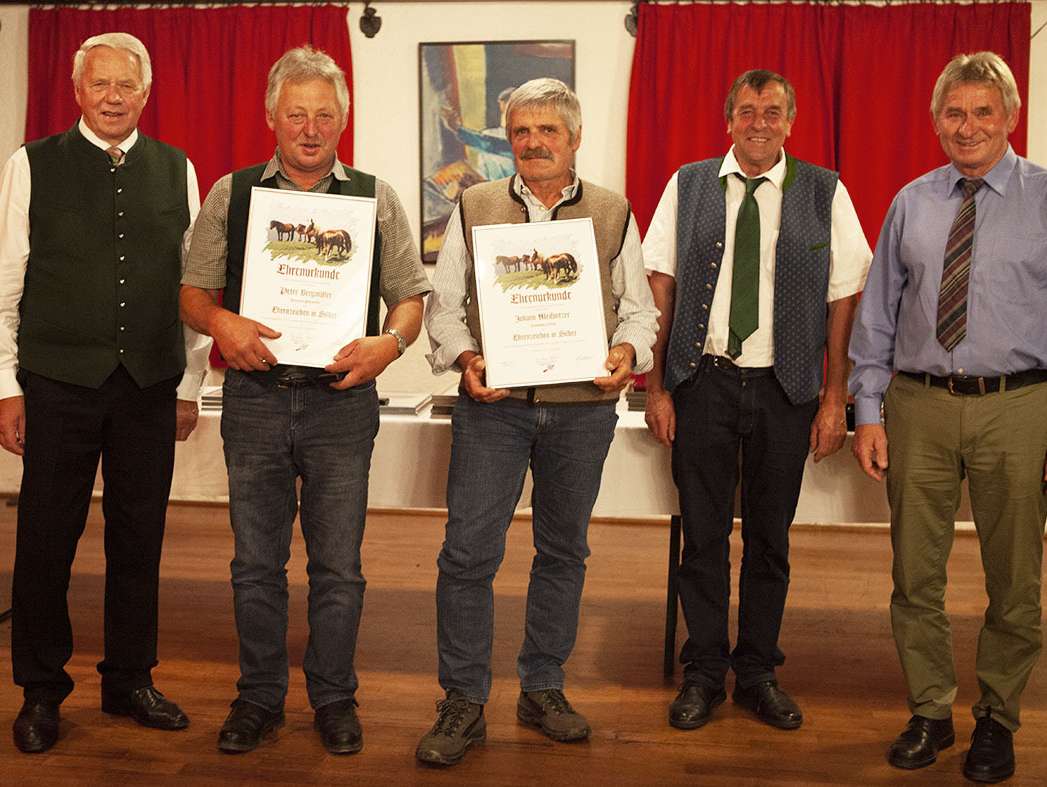 Salzburger Pferdezucht mit neuer Struktur.jpg © Popatnig Salzburger Pferdezucht mit neuer Struktur.jpg © Popatnig